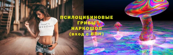 спайс Алзамай