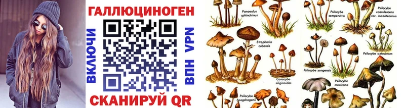наркота Оленегорск mega онион Псилоцибиновые грибы Psilocybine cubensis